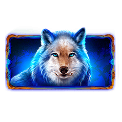 Icon 2 Buffaloes Duel