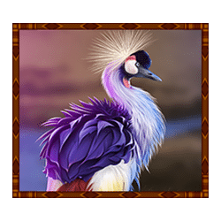 Icon 5 Rumble Rhino Megaways