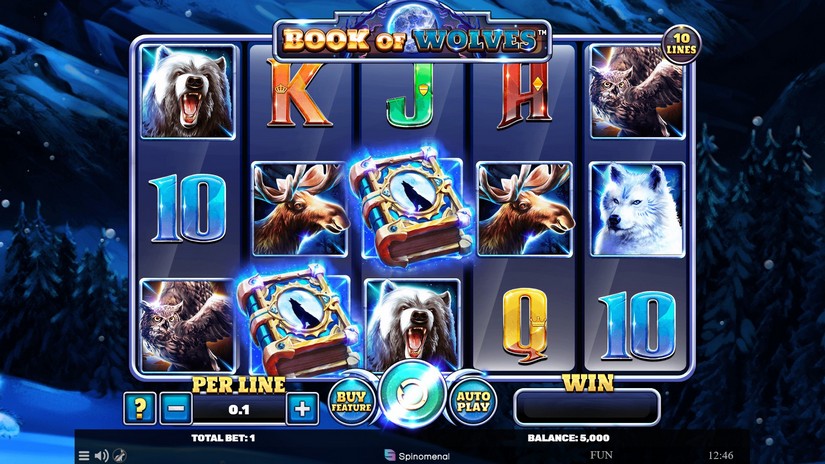 Book Of Wolves slot screen 1