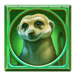 Icon 4 Gator Gold Deluxe Gigablox