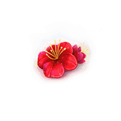 Icon 6 Imperial Palace