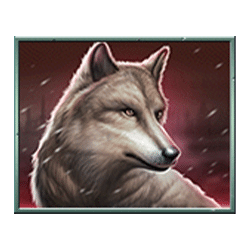 Icon 5 Vikings Winter