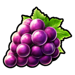 Icon 5 Amigo Bronze Classic