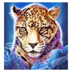 Icon 2 Big Cat Rescue MegaWays