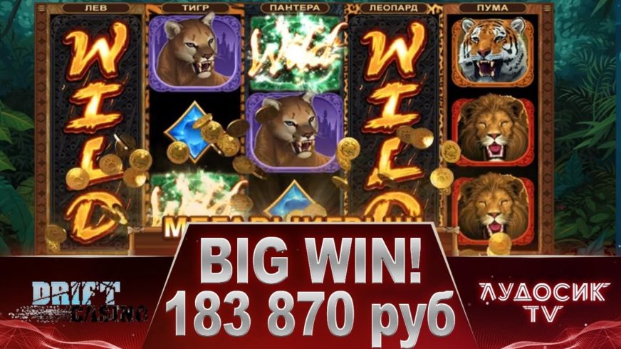 Exotic Cats slot screen 5