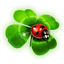 Icon 3 Gold Hit: O’Reilly’s Charms