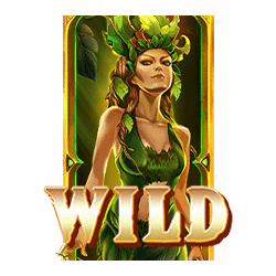 Wild Symbol of Wild Elements Slot