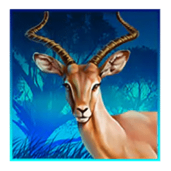 Icon 4 Animals of Africa