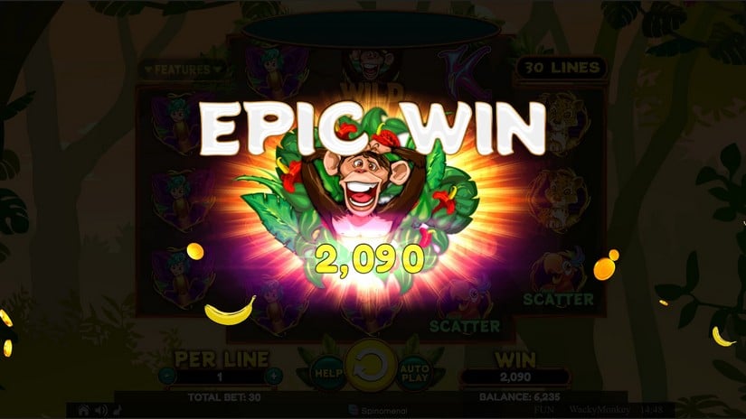 Wacky Monkey slot screen 4