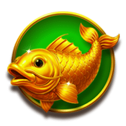 Icon 5 Coins of Dragon – Hold & Win