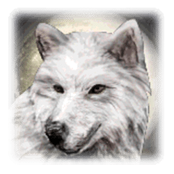 Wild Symbol of Shaman’s Dream Slot