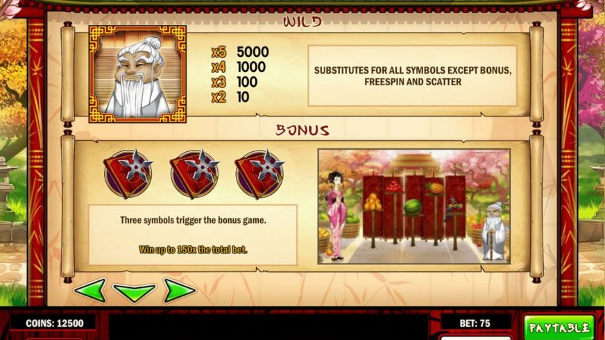 Ninja Fruits slot screen 2