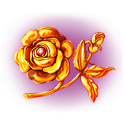 Icon 8 Casanovas Ladies