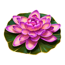 Icon 5 Fury Dragon – Hold & Win