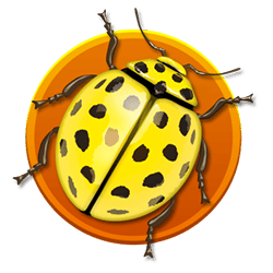 Icon 5 Forest Fortune