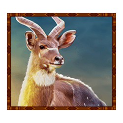 Icon 4 Rumble Rhino Megaways