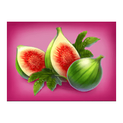 Icon 7 Quetzal Quest