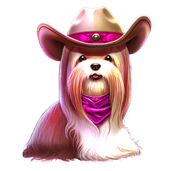 Icon 2 The Dog House – Dog or Alive