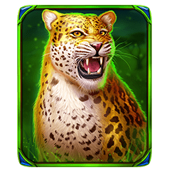 Icon 3 The Ultimate 5