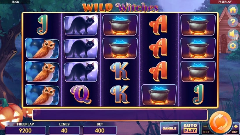 Wild Witches slot screen 1
