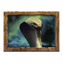 Icon 5 Jungle Spirit: Call of the Wild