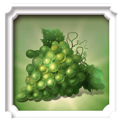 Icon 10 Glorious Rome