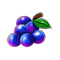 Icon 5 Brilliant Wilds