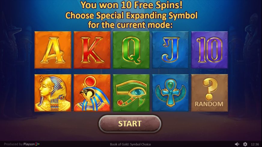 Book of Gold: Symbol Choice slot screen 3
