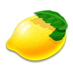 Icon 8 All Star Knockout