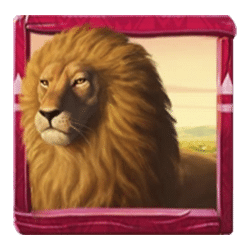 Icon 4 Savannah Spirits