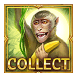 Icon 11 Tiger Tiger Wild Life