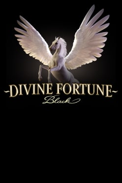 Divine Fortune Black