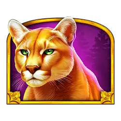 Icon 4 Wolf Gold 4 Pack