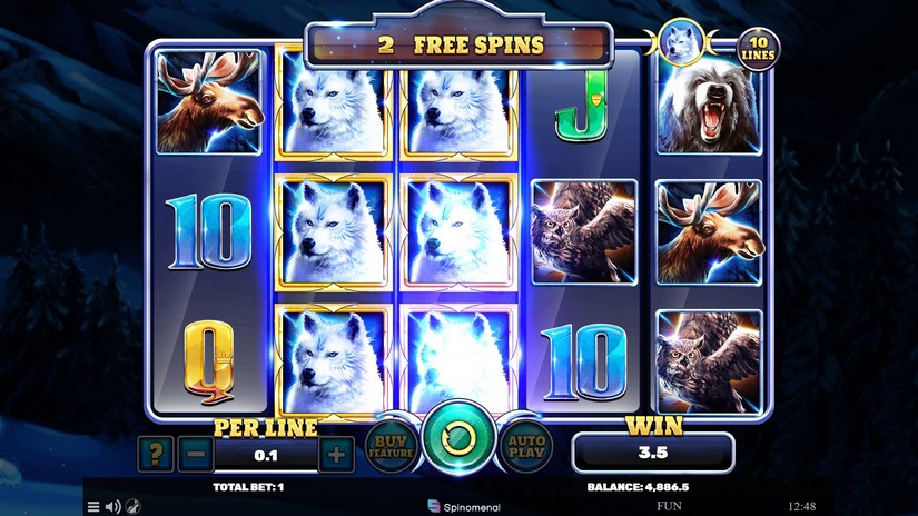 Book Of Wolves slot screen 6