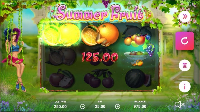 Summer Fruits slot screen 4