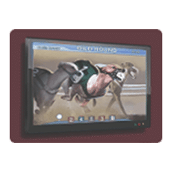 Icon 4 Lucky Betting Shop