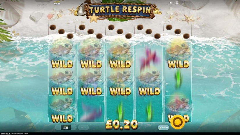 Turtle Paradise slot screen 2