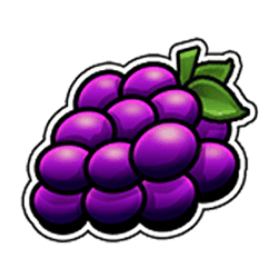 Icon 5 Ted Pub Fruit Series