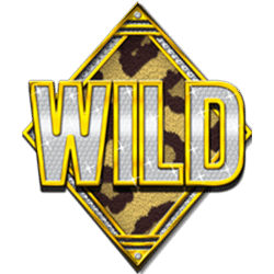 Wild Symbol of Boom Shakalaka Slot