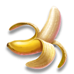 Icon 5 Fruit Rainbow