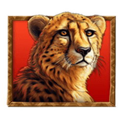 Icon 2 Stampede Gold