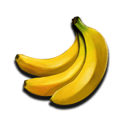 Icon 6 Wildcano with Orbital Reels