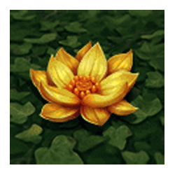 Icon 8 Jungle Reveal