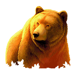 Icon 1 Wild Survivor