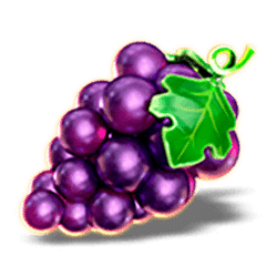 Icon 4 Regal Crown 25