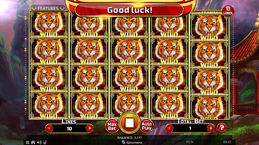 Year of the Tiger slot screen 4