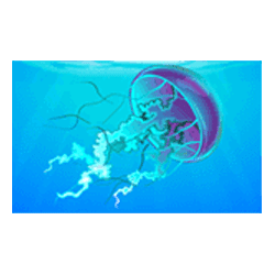 Icon 3 Dolphin Coast