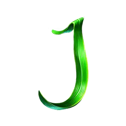 Icon 8 Shaolins Tiger