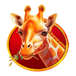 Icon 2 Lucky Safari Hold And Win