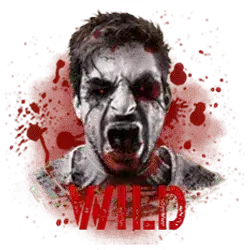 Wild Symbol of Re Kill Slot